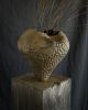Cenizas Organic Form No.2 | Sculptures by Alex Roby Design. Item made of ceramic works with minimalism & contemporary style
