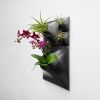 Modern Ceramic Wall Planter Black Set of 4 - Living Wall | Plants & Landscape by Pandemic Design Studio. Item composed of ceramic in minimalism or modern style