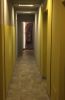 Cedar of Lebanon | Wallpaper in Wall Treatments by Affreschi & Affreschi | Fenicità in Brescia. Item made of paper & synthetic
