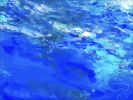 Living Oceans • OCEAN WATER 5 | Prints in Paintings by Betty Jo Costanzo. Item made of cotton with paper works with contemporary & coastal style