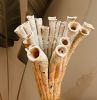Ceramic Sculptural vase Tubipora Musica | Vases & Vessels by Elena Miller. Item composed of ceramic in contemporary or coastal style