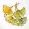 Large-scale Botanical on-edge paper art | Wall Sculpture in Wall Hangings by JUDiTH+ROLFE. Item made of paper compatible with contemporary and modern style