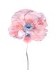 Poppy No. 7 : Original Watercolor Painting | Paintings by Elizabeth Beckerlily bouquet. Item composed of paper in boho or minimalism style