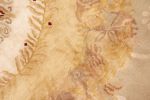 Rug & Kilim's Aubusson Inspired Floral Cream and Gold Wool | Area Rug in Rugs by Rug and Kilim