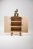 Cabinet Bugs | Storage by PANOPTIKUM COLLECTIONS. Item made of wood with brass works with minimalism & contemporary style