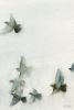 "A Flock of Pigeons" giclée canvas print | Paintings by Beverly Brown