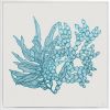 Sea Garden - Framed Canvas Art | Prints by Patricia Braune. Item composed of canvas