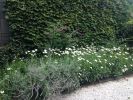 Artist's Studio Garden | Art Curation by Margaret Lanzetta | Long Island City in Queens