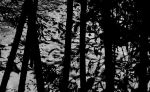Beneath the Shadows – Fine Art Photography | Photography by ANDRES GALAN. Item composed of canvas and aluminum in contemporary or modern style