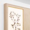Herbarium: Eryngium Planum - Wall Light Sculpture | Wall Sculpture in Wall Hangings by Mateusz Wappa Design & Research. Item composed of birch wood and glass in minimalism or modern style