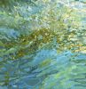 Morton Plant Hospital | Oil And Acrylic Painting in Paintings by Margaret Juul. Item composed of canvas and synthetic