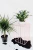 Sunbeam Plant Stand | Plants & Landscape by Boonies Design + Fabrication. Item made of metal
