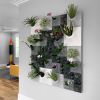Modern Ceramic Wall Planter Greenwall - Node Wall Planter | Living Wall in Plants & Landscape by Pandemic Design Studio. Item made of ceramic works with mid century modern & contemporary style
