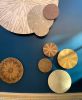 On the Appreciation of Species | Wall Sculpture in Wall Hangings by Ansen Seale. Item made of wood