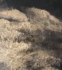 Quiet rebel #2 | Mixed Media in Paintings by Francesca Borgo. Item composed of canvas compatible with minimalism and contemporary style