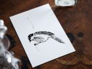 Marsh Tit | Prints by Chrysa Koukoura. Item composed of paper in traditional style