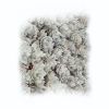 Garden Bonanza - Light Horizon | Sculptures by Lauren Naomi. Item made of canvas & ceramic compatible with modern style