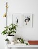 Feature in 'Plant Style' by Ivy Muse | Prints by Kareena Zerefos. Item made of paper