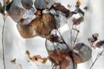 LUXE (18"x12" — 60"x40") | Surreal Gardens | Wall Art | Digital Art in Art & Wall Decor by Jess Ansik. Item works with boho & eclectic & maximalism style