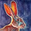 African Jack Rabbit | Mixed Media in Paintings by Catherine Twomey | UpMarket Gallery in Asheville. Item made of birch wood with canvas works with contemporary & modern style