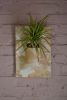 Hanging Slab-Dropped Planter | Vases & Vessels by Luke Shalan | Austin Proper Hotel in Austin. Item made of stoneware