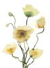 Poppies : Original Ink Painting | Watercolor Painting in Paintings by Elizabeth Beckerlily bouquet. Item composed of paper in boho or minimalism style