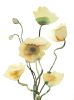 Poppies : Original Ink Painting | Watercolor Painting in Paintings by Elizabeth Becker. Item composed of paper in boho or minimalism style