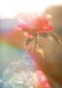 Colour Trip | Photography by Kara Suhey Print Shop. Item made of paper