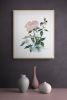 Rose Study No. 89 : Original Watercolor Painting | Paintings by Elizabeth Becker. Item made of paper compatible with boho and minimalism style