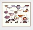 Victorian Mushroom Specimen Print in Lavender | Prints by Capricorn Press | Los Angeles in Los Angeles. Item made of paper