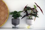 Kapi small anthracite | Planter in Vases & Vessels by Krafla | Krafla Studio in Kraków. Item composed of ceramic & glass compatible with minimalism and contemporary style