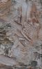 "nourishments" | Oil And Acrylic Painting in Paintings by VISCERAL HOME STUDIO. Item made of canvas with stone works with boho & contemporary style