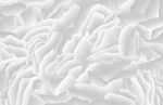 Falcon | Cloud | Wallpaper in Wall Treatments by Jill Malek Wallpaper. Item composed of paper