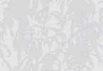 Cockscomb | Wallpaper in Wall Treatments by Jaclyn Mednicov. Item made of paper compatible with contemporary and japandi style