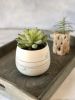 Playful-Dots Planter Pot | Vase in Vases & Vessels by Tomoko Ceramics. Item composed of stoneware
