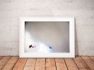 The Little Prince | Limited Edition Print | Photography by Tal Paz-Fridman | Limited Edition Photography. Item made of paper works with minimalism & contemporary style