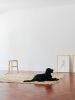 GLYPH stool | Chairs by Porventura. Item composed of wood compatible with contemporary style