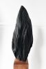 Untitled 52, Cedar Sculpture (sold) | Sculptures by Neshka Krusche | Calgary in Calgary. Item made of wood