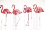 Flamingo Artwork | Paintings by Dave White