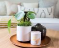 Revival ceramics at LA Design Festival | Planter in Vases & Vessels by LBE Design | ROW DTLA in Los Angeles. Item made of ceramic
