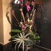Luxurious Orchid | Floral Arrangements by Fleurina Designs