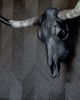 Anvil Grey Longhorn | Ornament in Decorative Objects by Gypsy Mountain Skulls | Deer Valley Resort in Park City