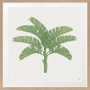 Tropical Plantation - 1 & 2 & 3 - Green - Framed Art | Prints by Patricia Braune. Item composed of paper