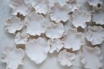 Porcelain Wall Sculpture, 47 Pieces, White | Wall Hangings by SevaCeramics. Item made of ceramic works with contemporary & japandi style