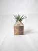 Mini House Airplant Holder | Planter in Vases & Vessels by Nosheen iqbal. Item composed of bamboo