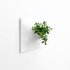 Node XL Wall Planter, 15" Mid Century Modern Planter, White | Plant Hanger in Plants & Landscape by Pandemic Design Studio. Item made of stoneware works with mid century modern & japandi style