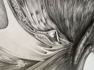 Flow 1 | Drawings by Russ Snedker. Item made of paper