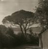 Lerici 258 - Polaroid Coastal Landscape Photograph, Limited | Photography by Ugne Pouwell. Item made of paper works with mediterranean style