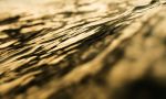 Golden | Photography by Zack Harris Photography. Item made of paper works with contemporary & coastal style