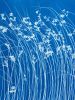 Late Summer Wild Grass Diptych (two 24 x 18" cyanotypes) | Etching in Paintings by Christine So. Item composed of paper in boho or coastal style